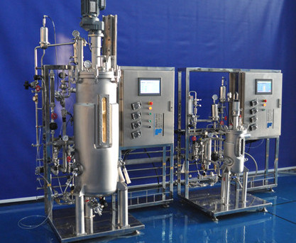 Bioreacter Fermenter 80L-image